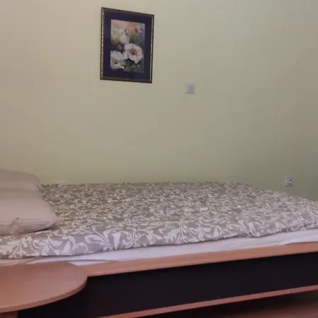 Alp House Guest house *