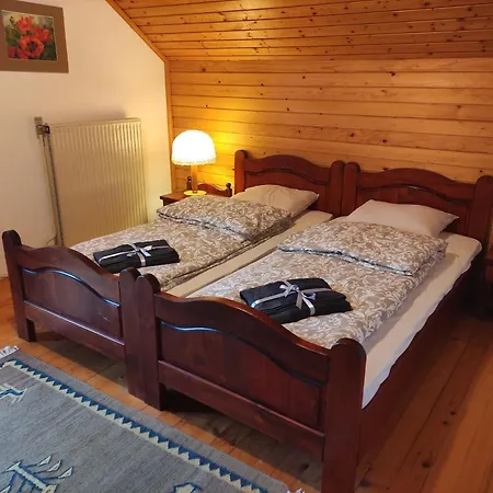 Alp House Pensión *