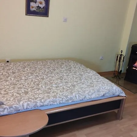 Guest house Alp House Bohinjska Bela