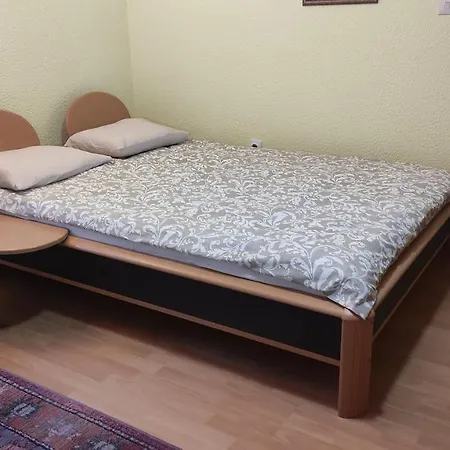 Alp House Guest house *