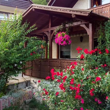 Hiša za goste Alp House