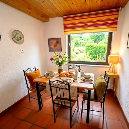 Guest house Alp House Bohinjska Bela