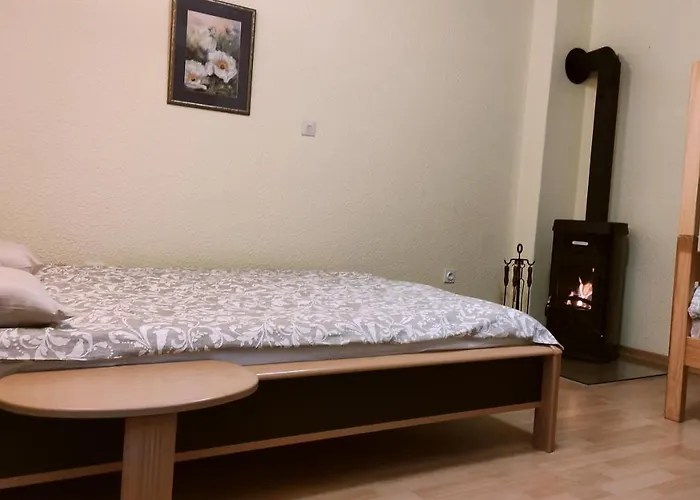 Alp House 게스트하우스 *