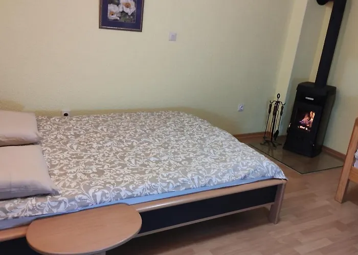 게스트하우스 Alp House 보힌스카 벨라