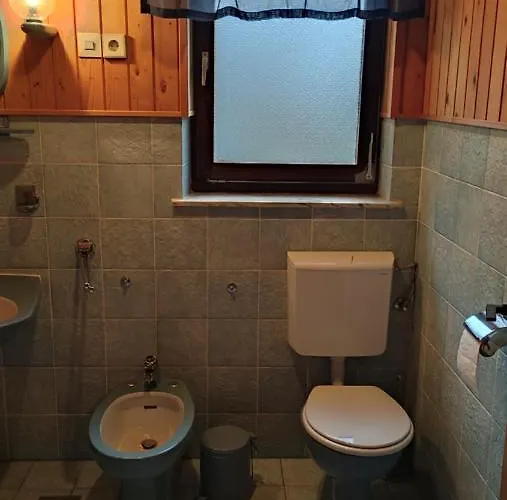 게스트하우스 Alp House 보힌스카 벨라