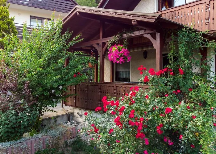 Affittacamere Alp House